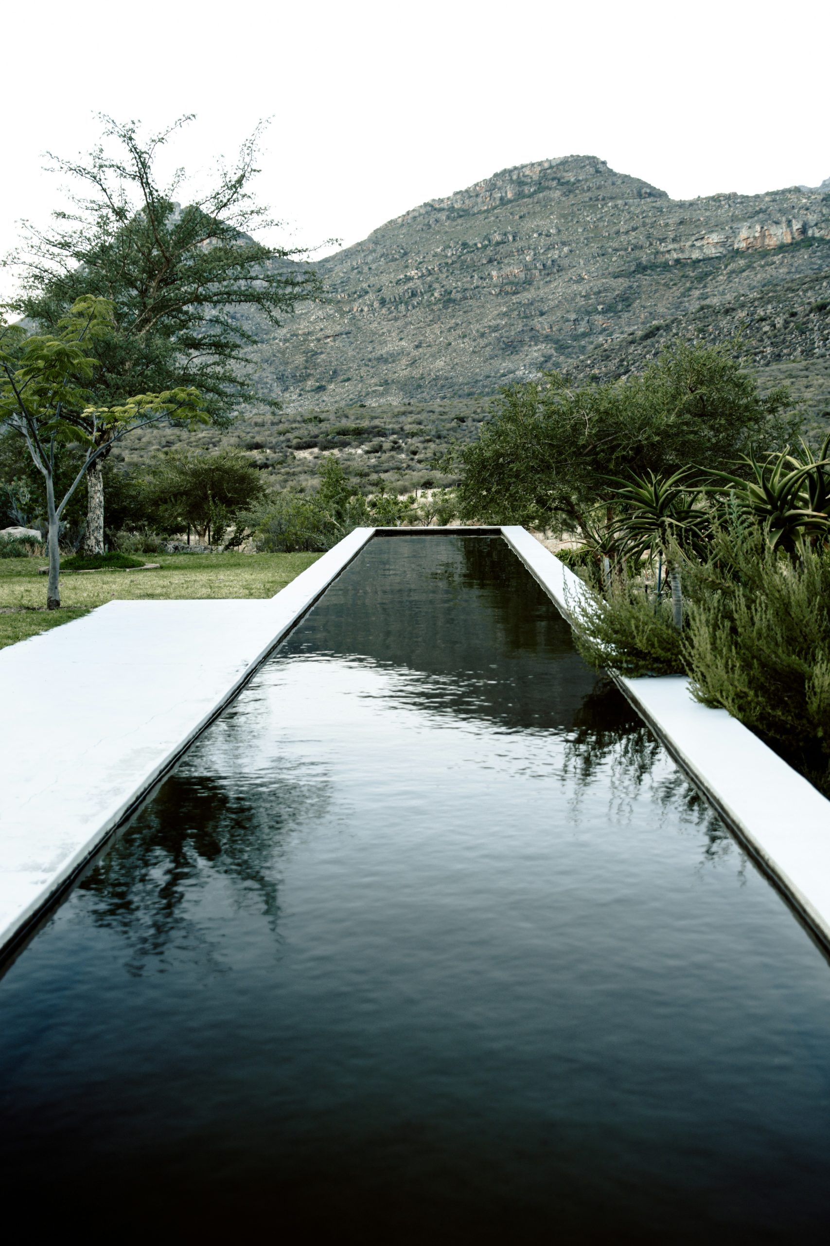 Low Water Garden Tips